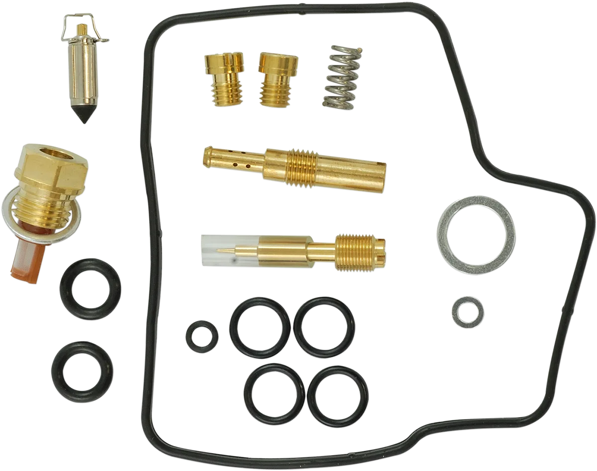 Carburetor Repair Kit