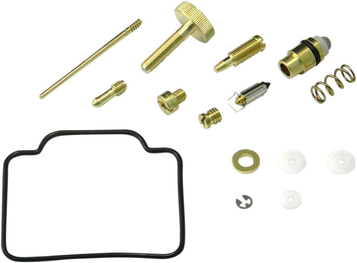 Carburetor Repair Kit