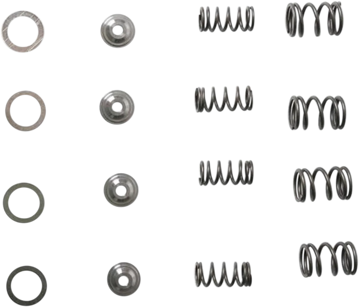 Lightweight Racing Valve Spring Kit