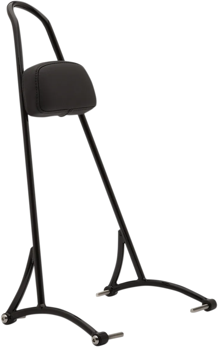 20" Tall Sissy Bar