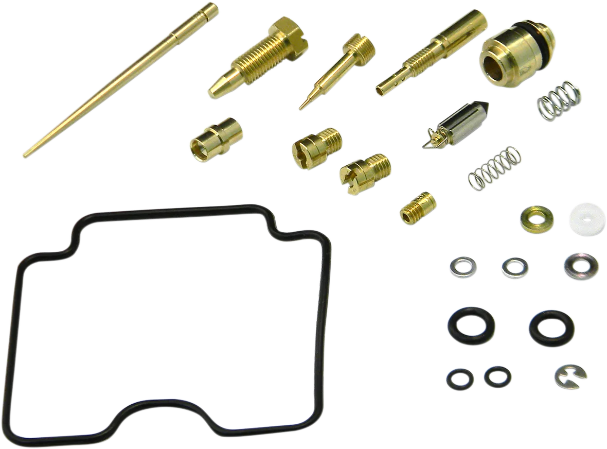 Carburetor Repair Kit