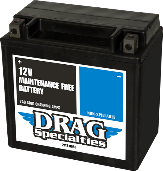 AGM Maintenance-Free Battery