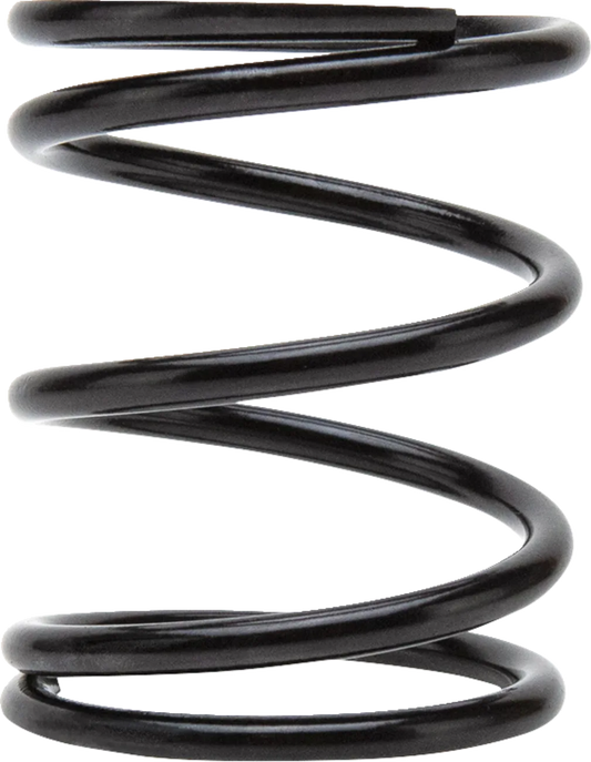 Primary Clutch Spring