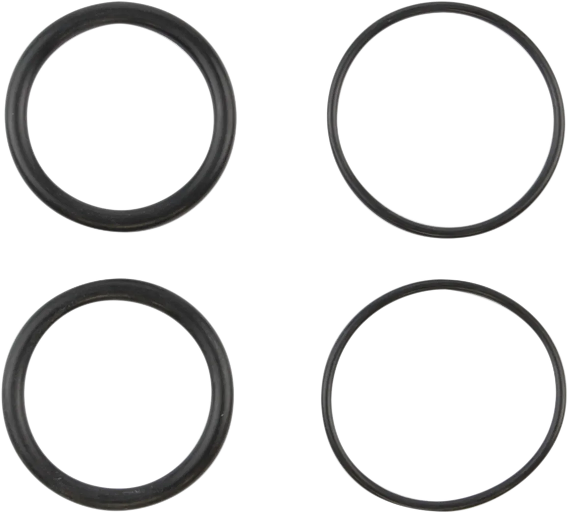 Manifold to Cylinder Head O-Rings