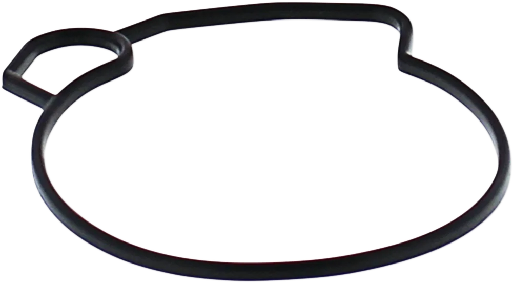 Replacement Float Bowl Gasket