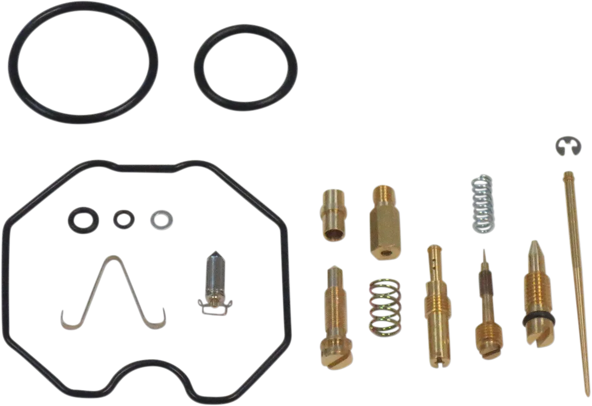 Carburetor Repair Kit