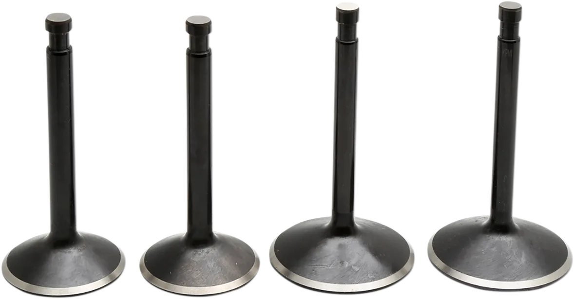 Black Diamond™ Engine Valve Kit