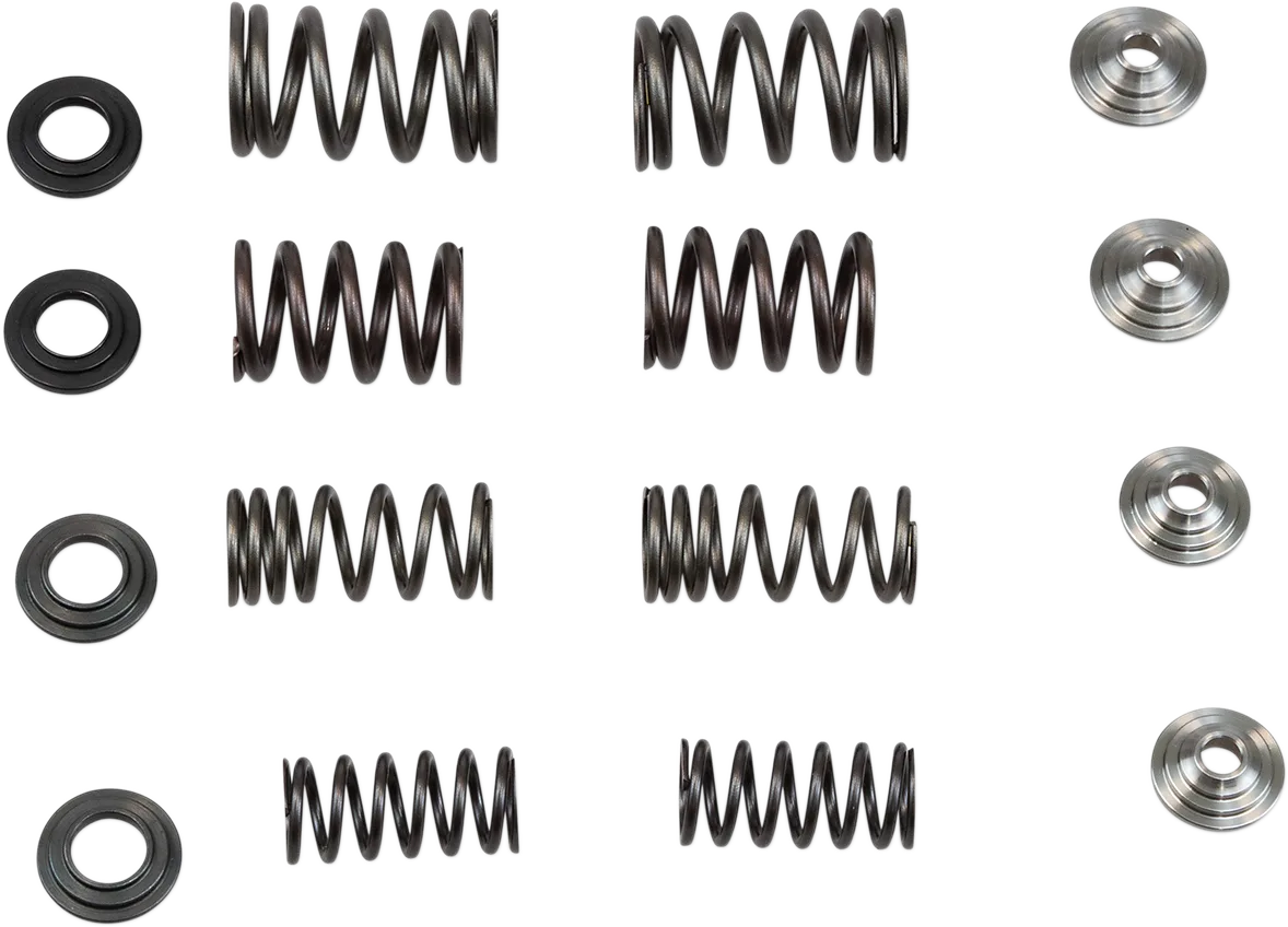 Valve Spring Kit