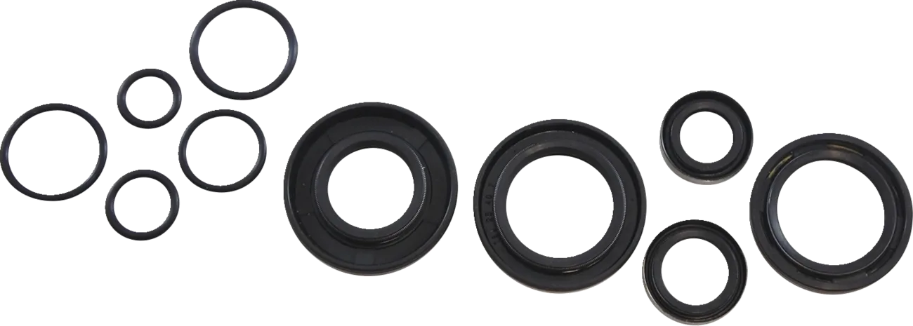 Oil Seal Kit