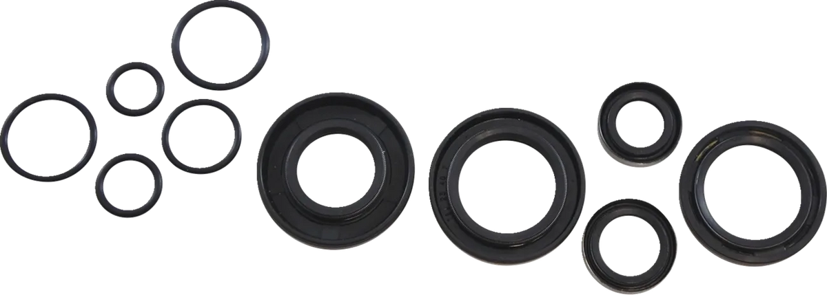 Oil Seal Kit