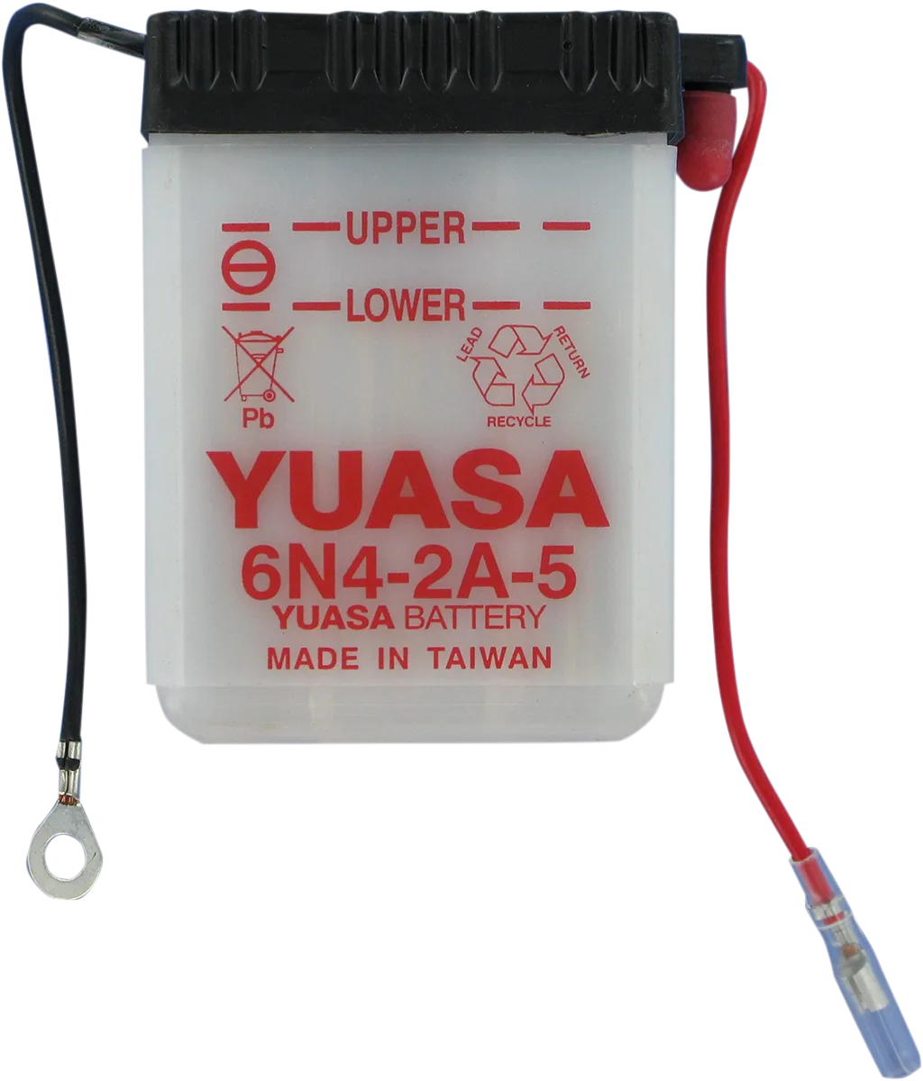 Conventional Battery — 6 V