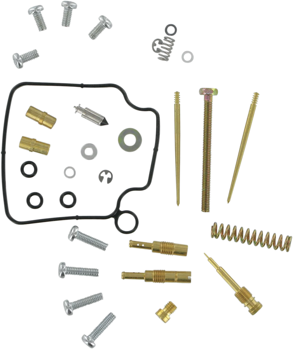 Carburetor Repair Kit