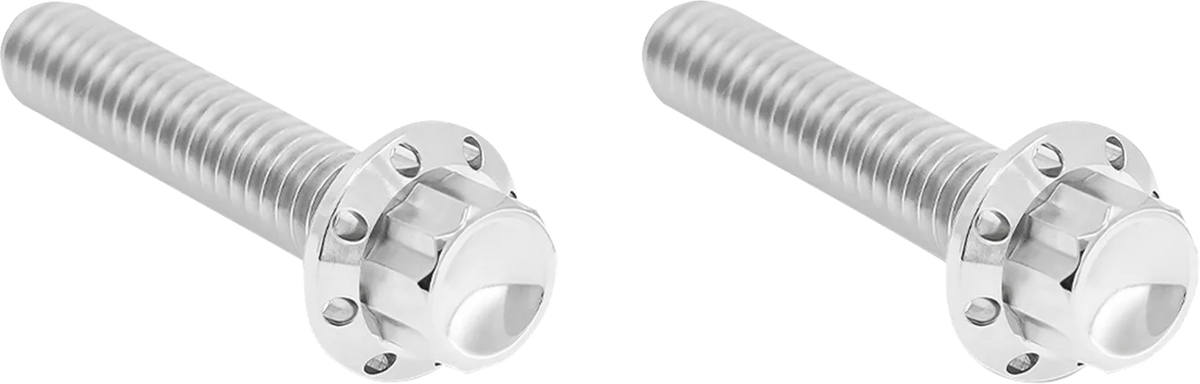 Transmission Side Cover Titanium 12-Point Bolt Cover