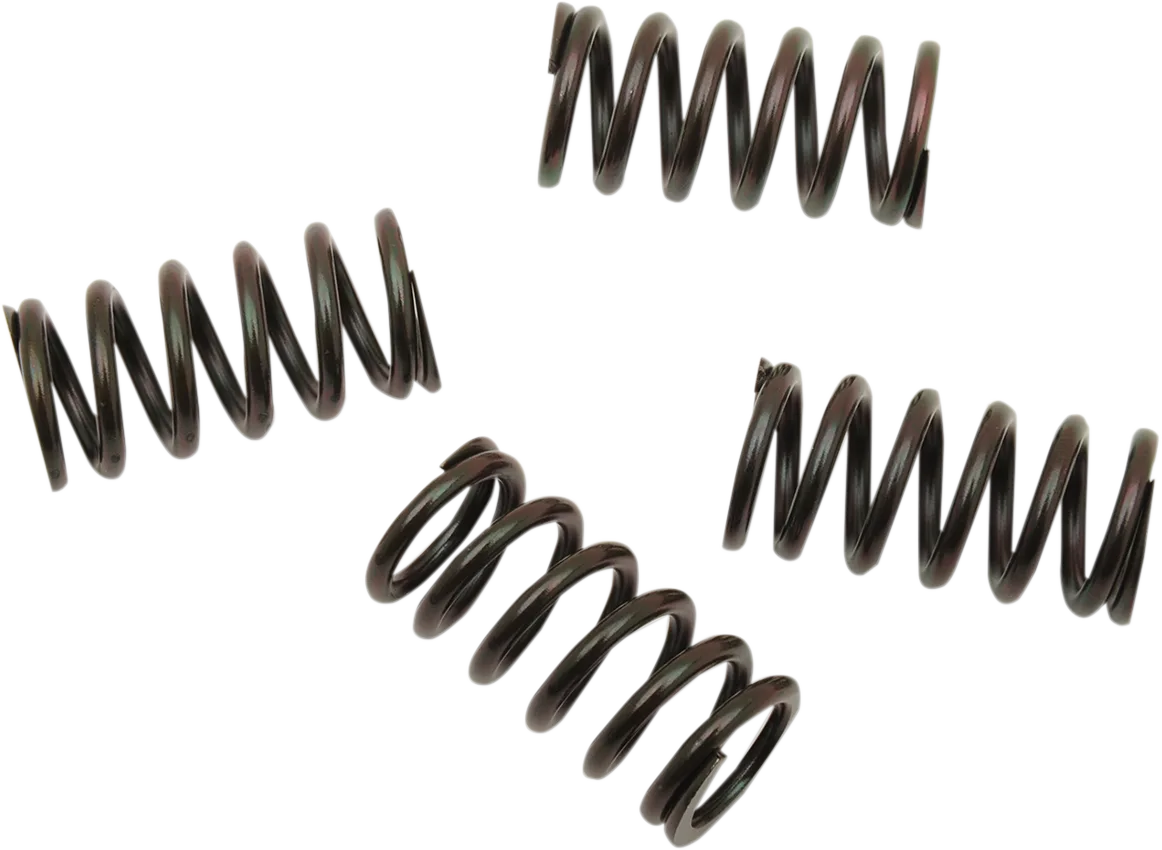 Clutch Spring Kit