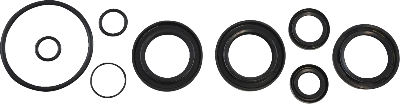 Oil Seal Kit