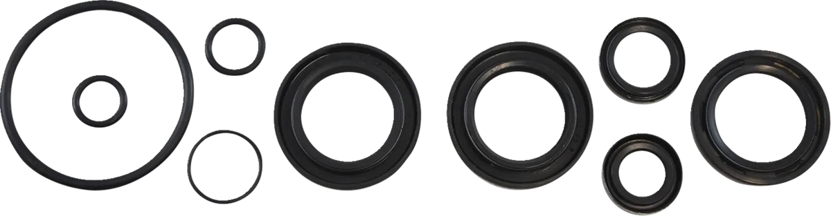 Oil Seal Kit