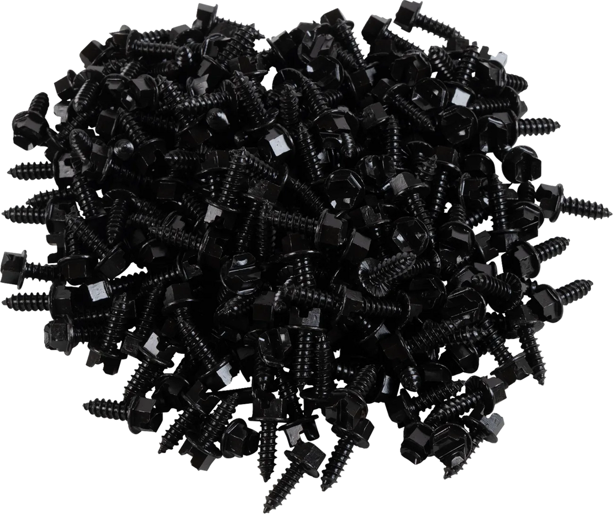 AMA Race Legal Traction Screws