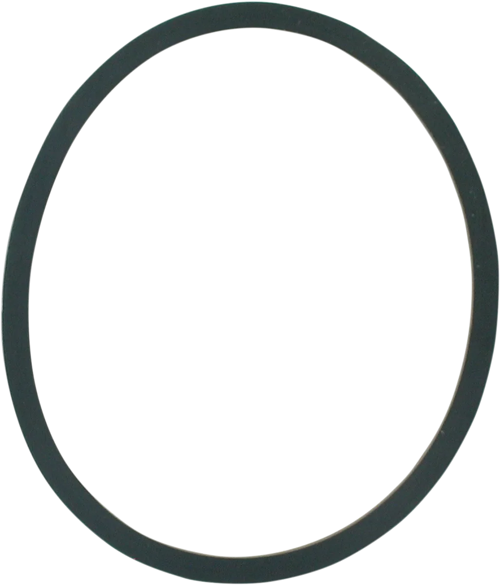 Replacement FLO Oil Filter Seal Ring