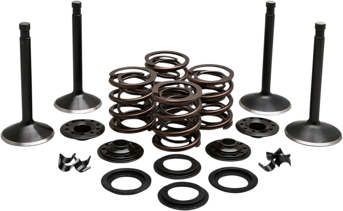 Engine Valve Kit