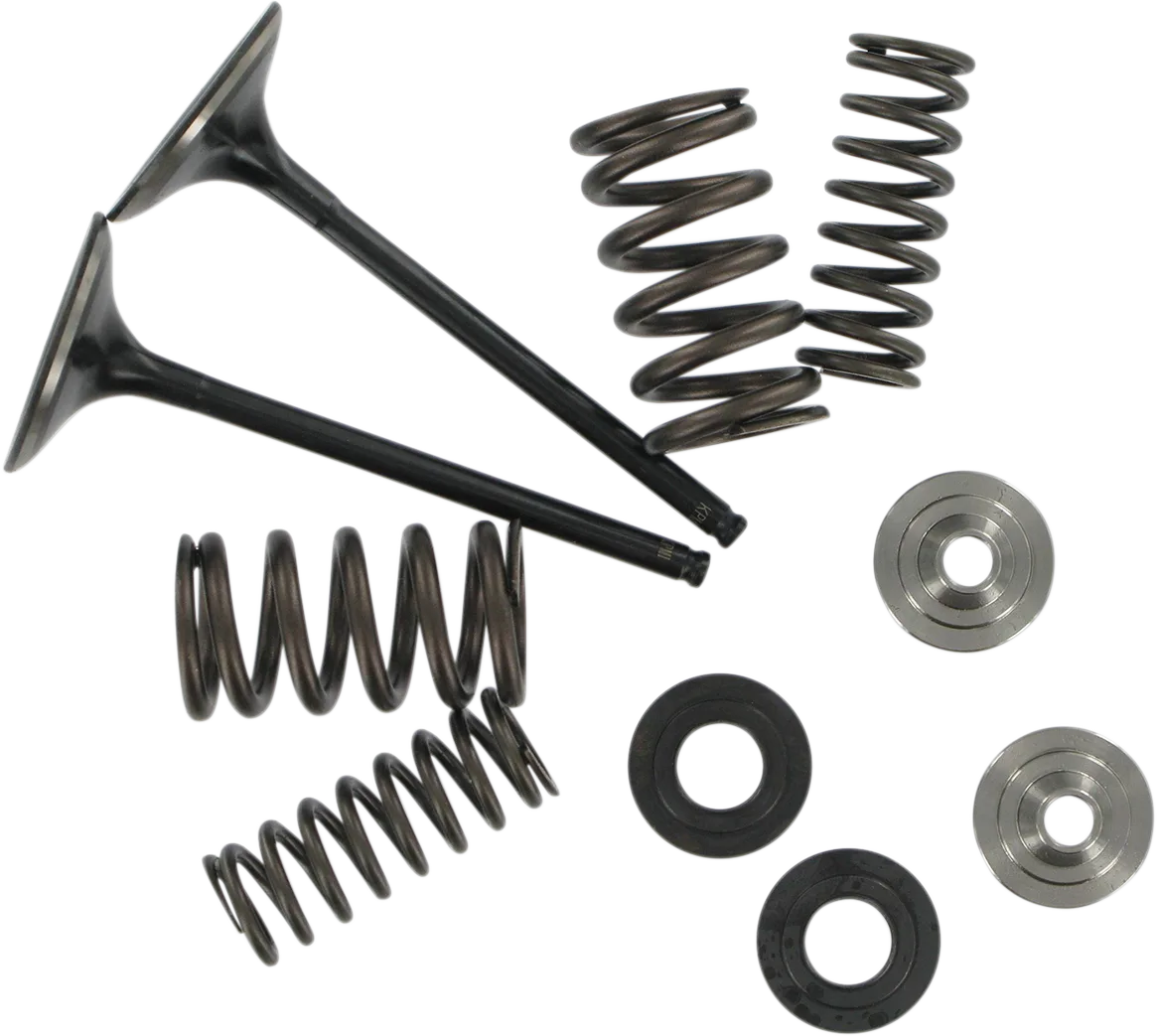 Intake Stainless Conversion Valve and Spring Kit