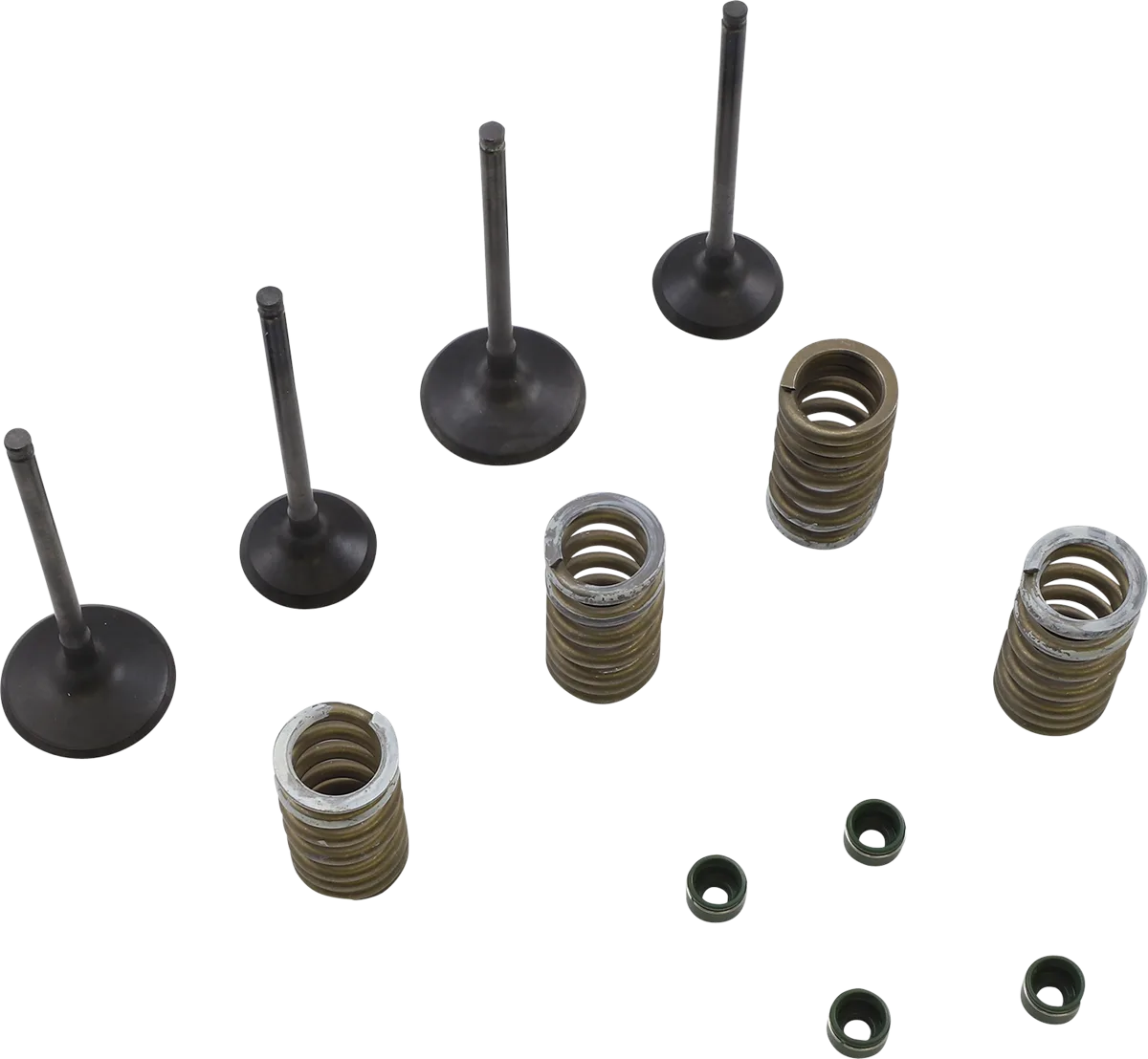 Valve Kit