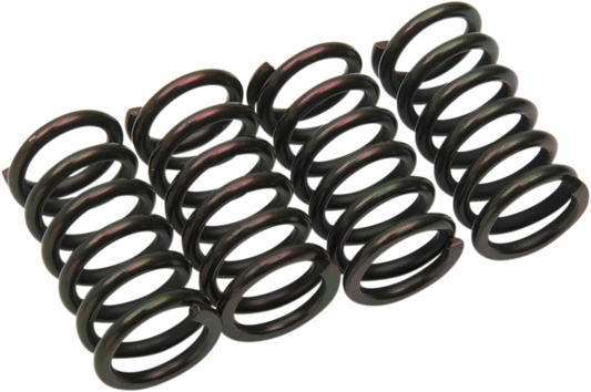 Clutch Spring Kit