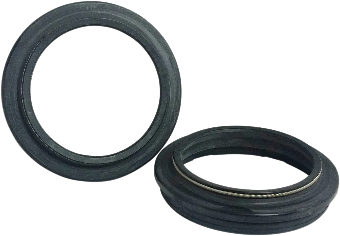 Dust Seal