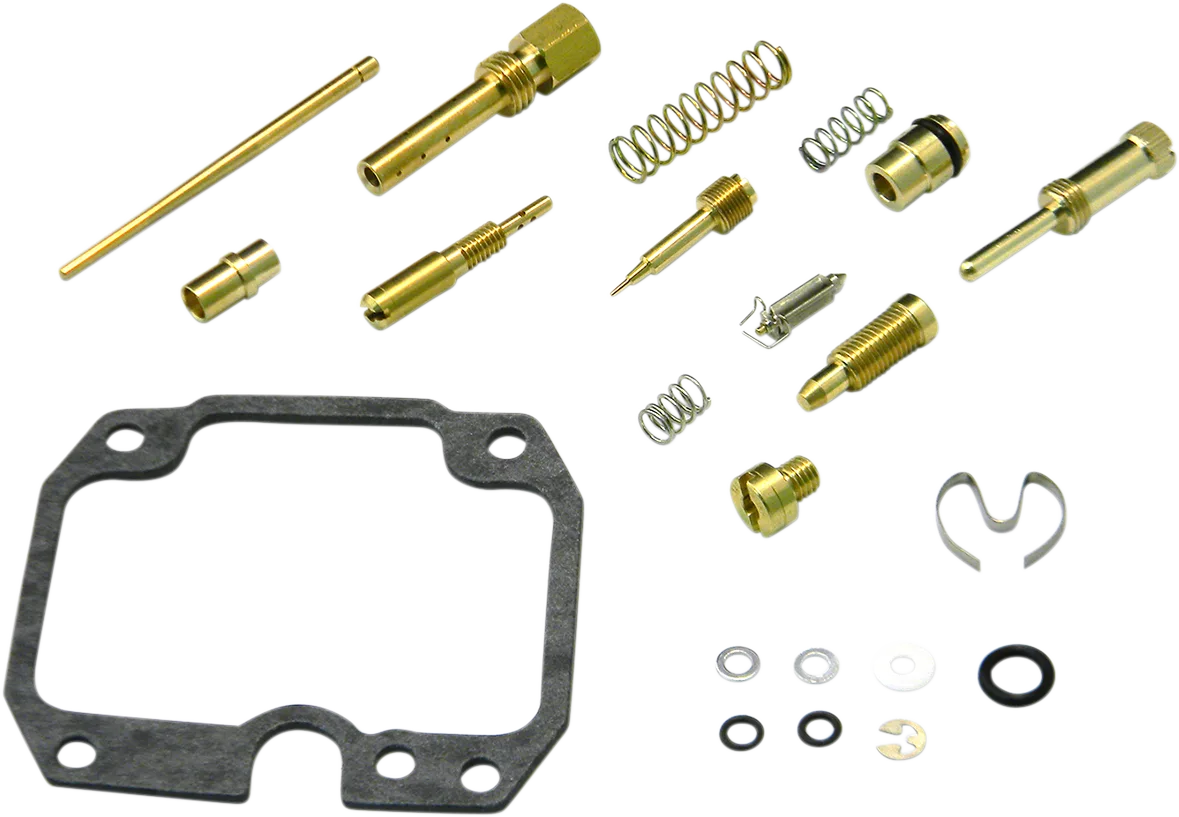 Carburetor Repair Kit