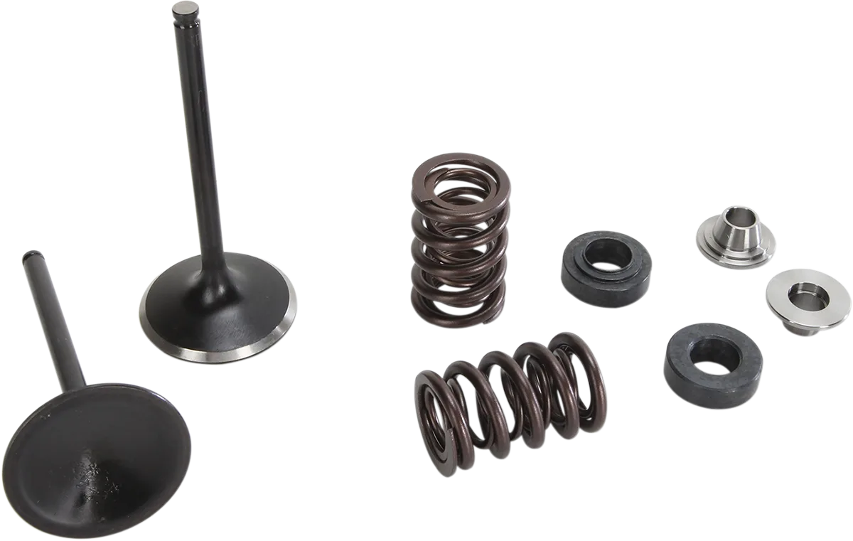 Exhaust Valve and Spring Kit