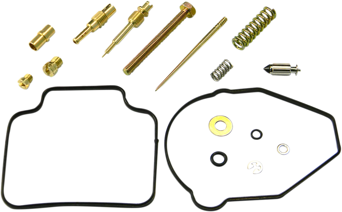 Carburetor Repair Kit