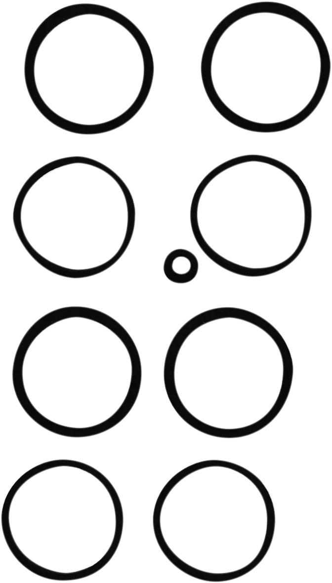 Caliper Seal Kit