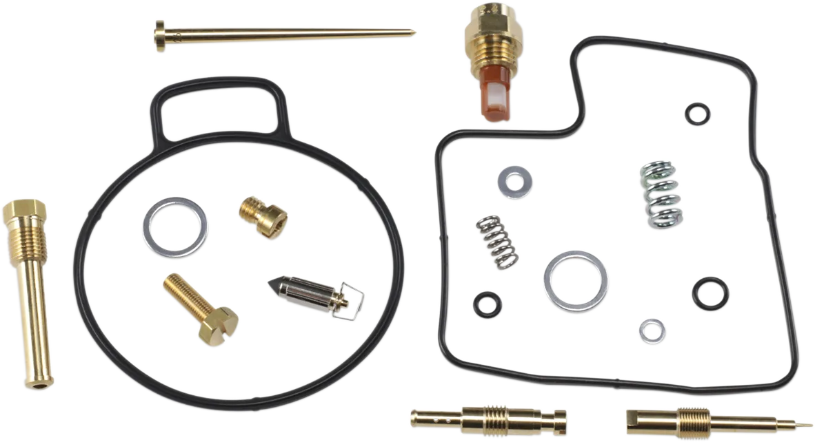 Carburetor Repair Kit