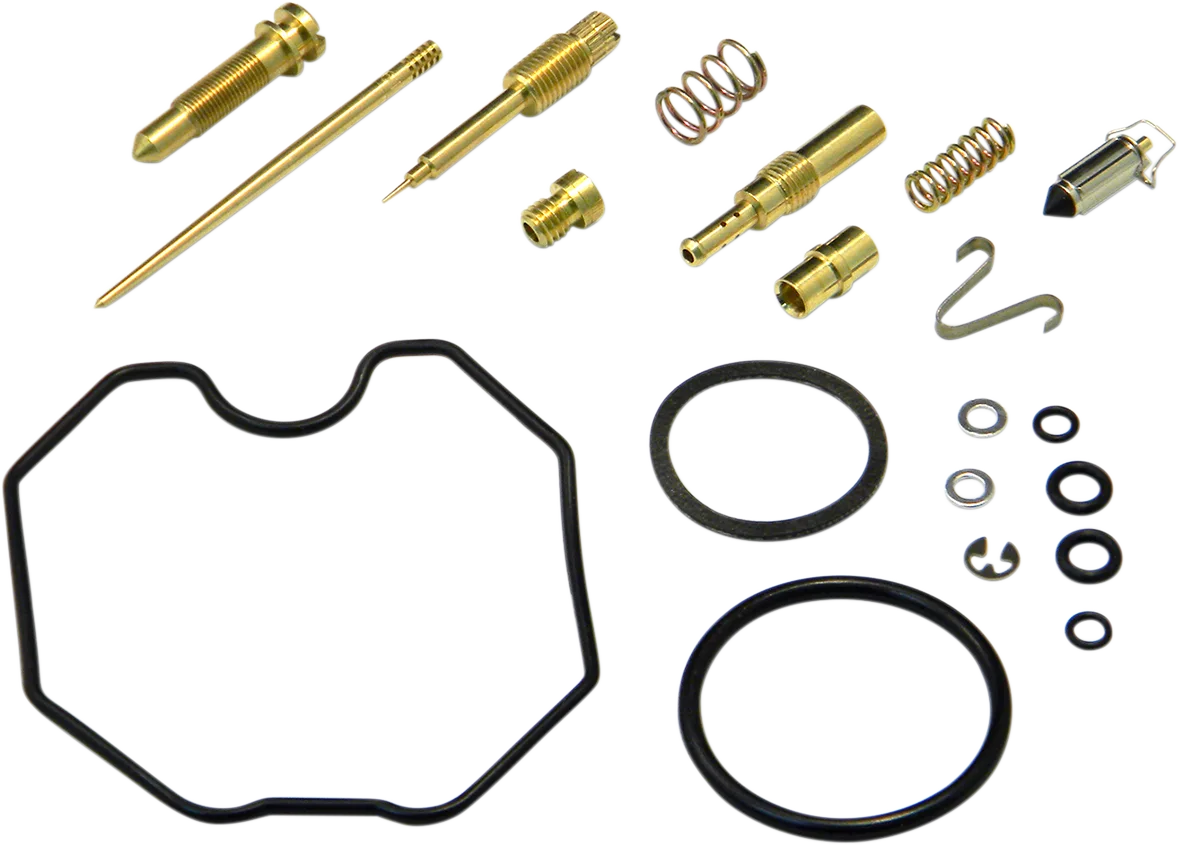 Carburetor Repair Kit