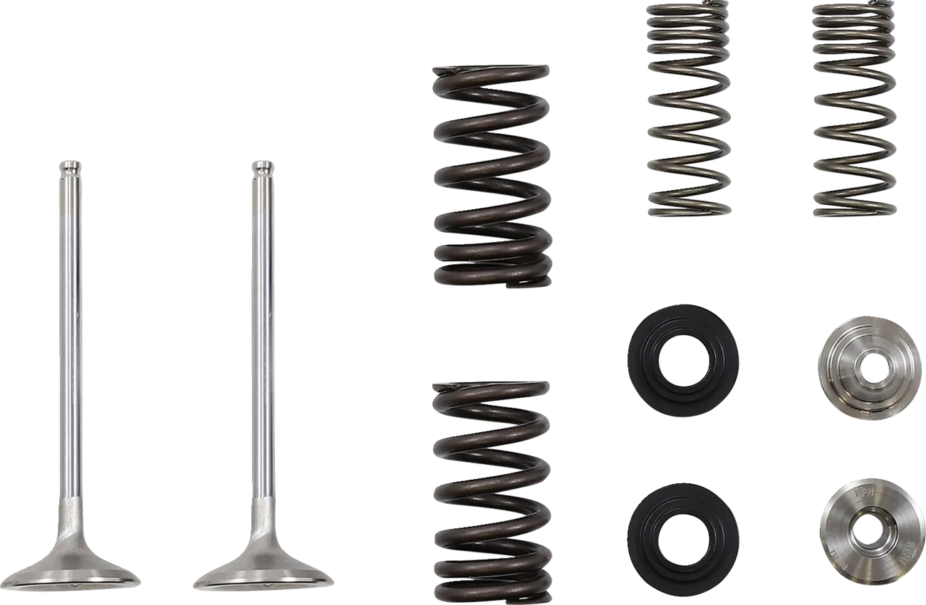 Exhaust Valve and Spring Kit