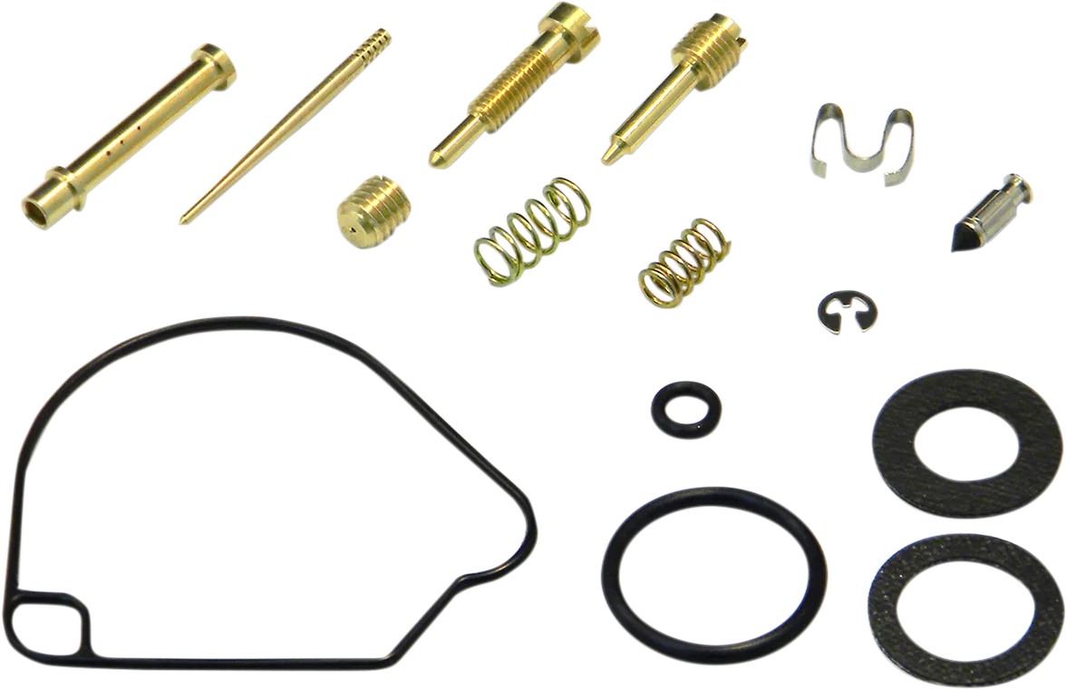Carburetor Repair Kit