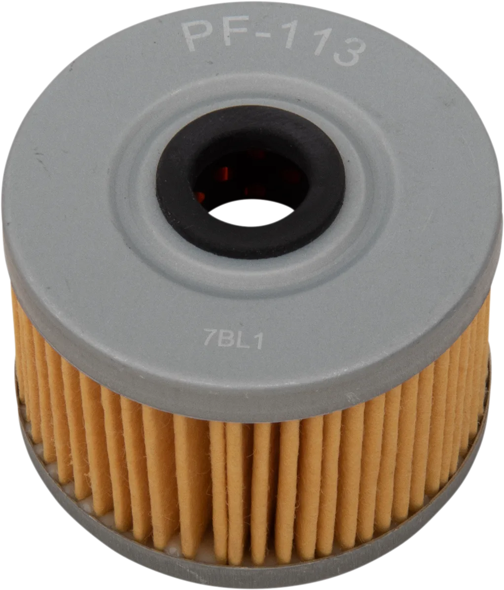 Replacement Oil Filter