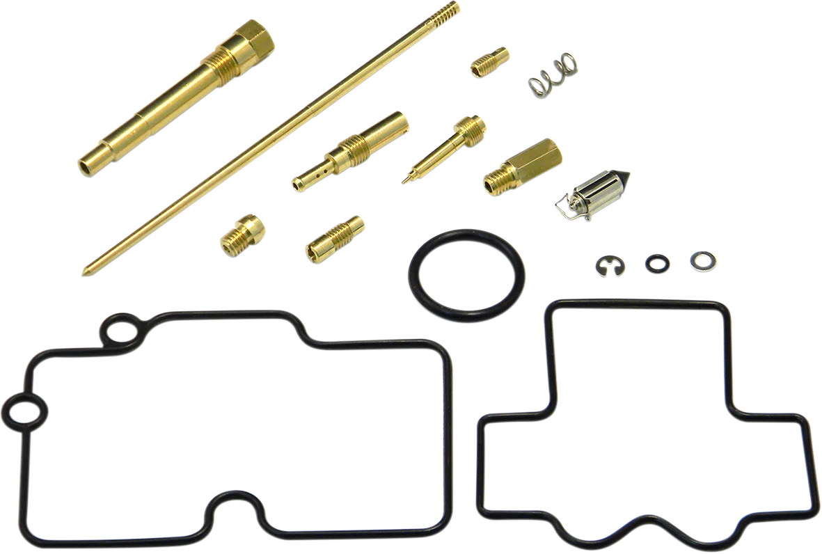 Carburetor Repair Kit