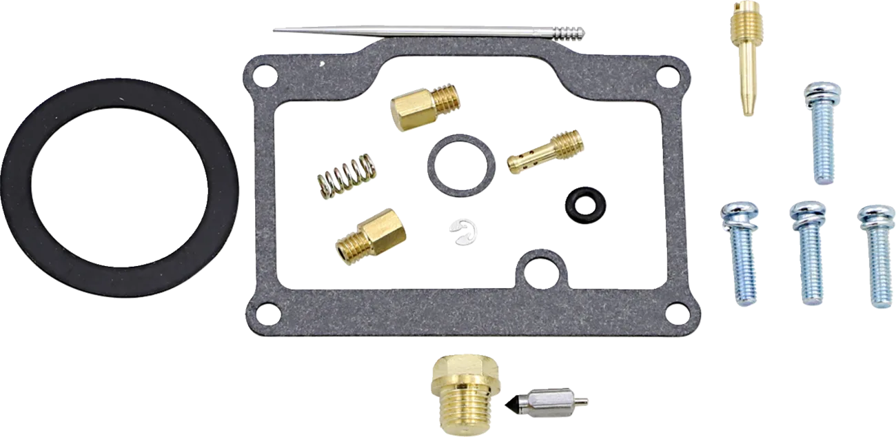 Carburetor Repair Kit