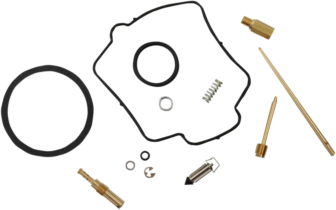 Carburetor Repair Kit