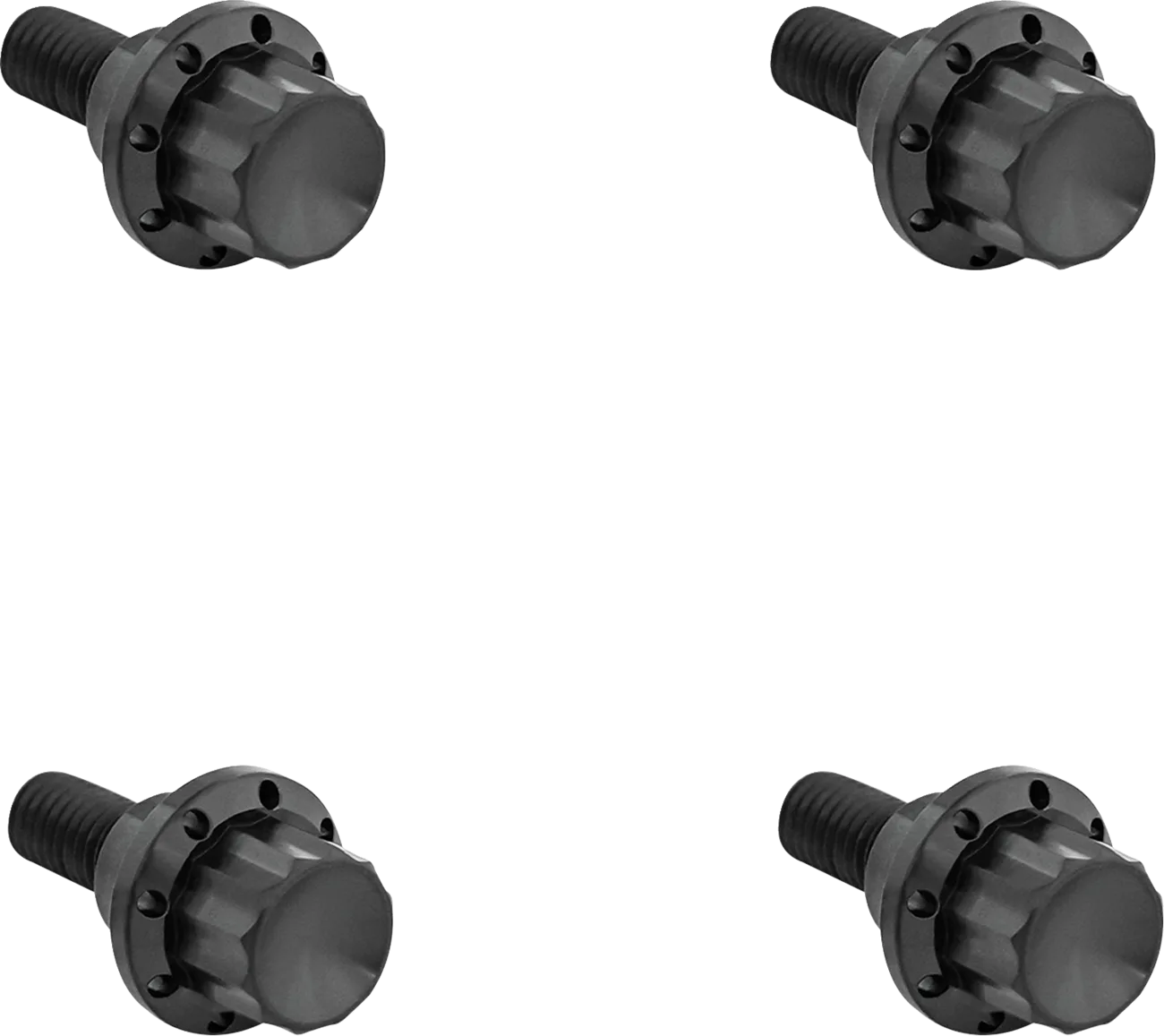 Windshield Titanium 12-Point Bolt Kit