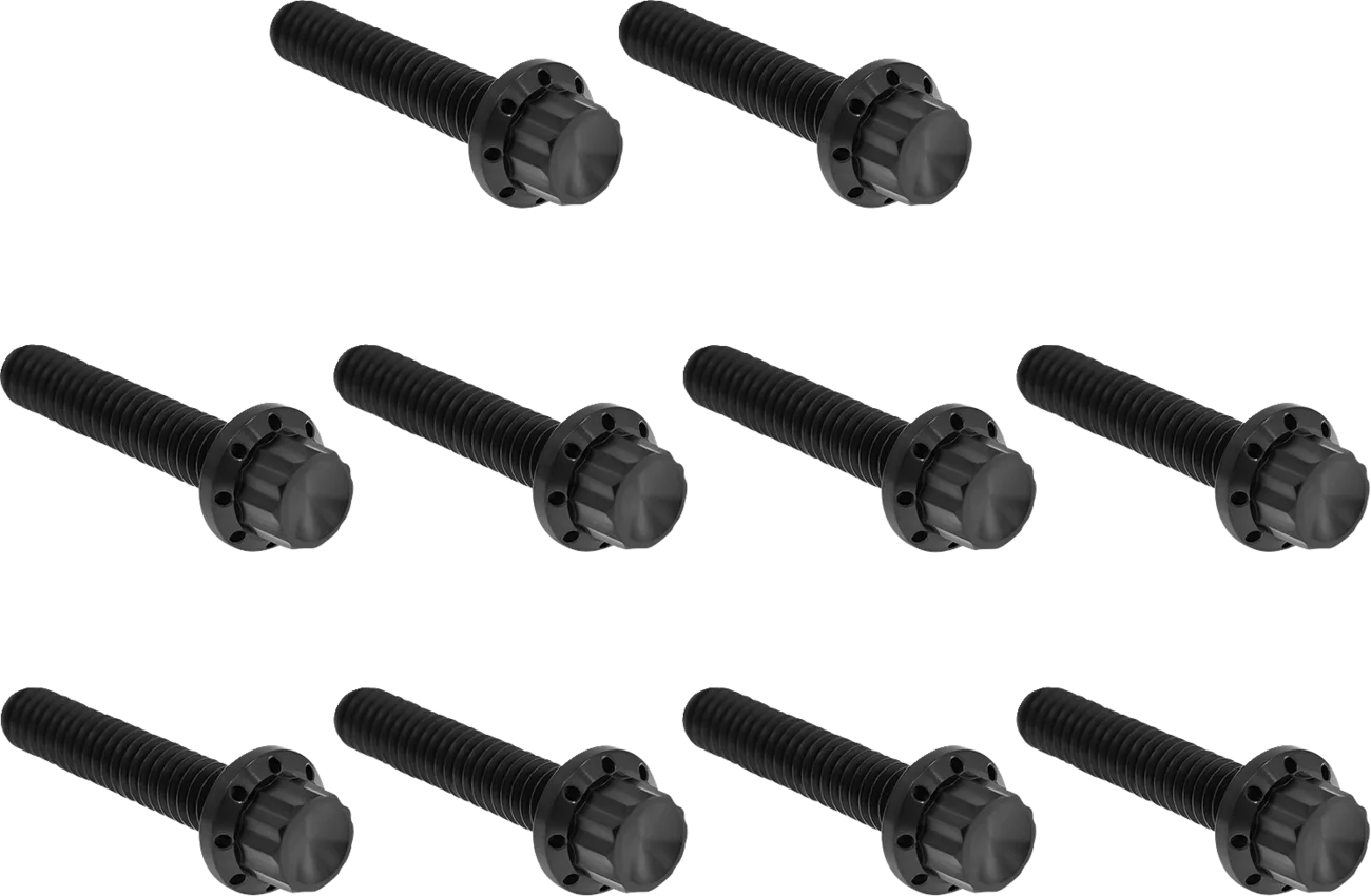 Cam Cover/Point Cover Titanium 12-Point Bolt Kit