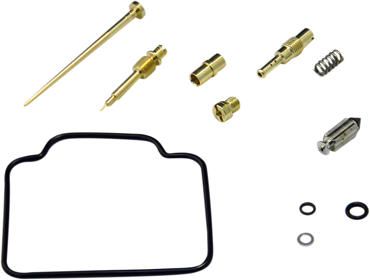 Carburetor Repair Kit