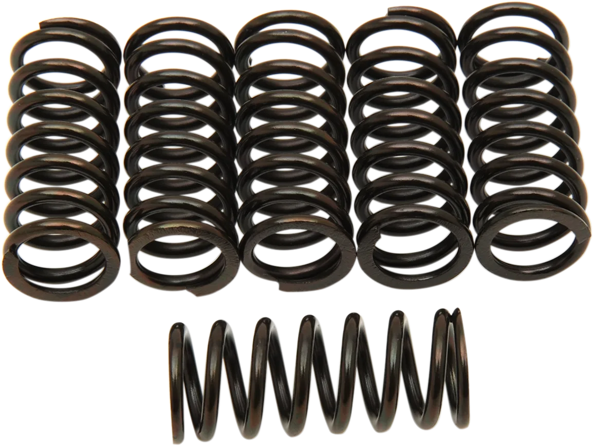 Clutch Spring Kit