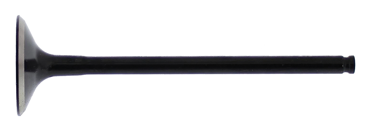 Exhaust Valve