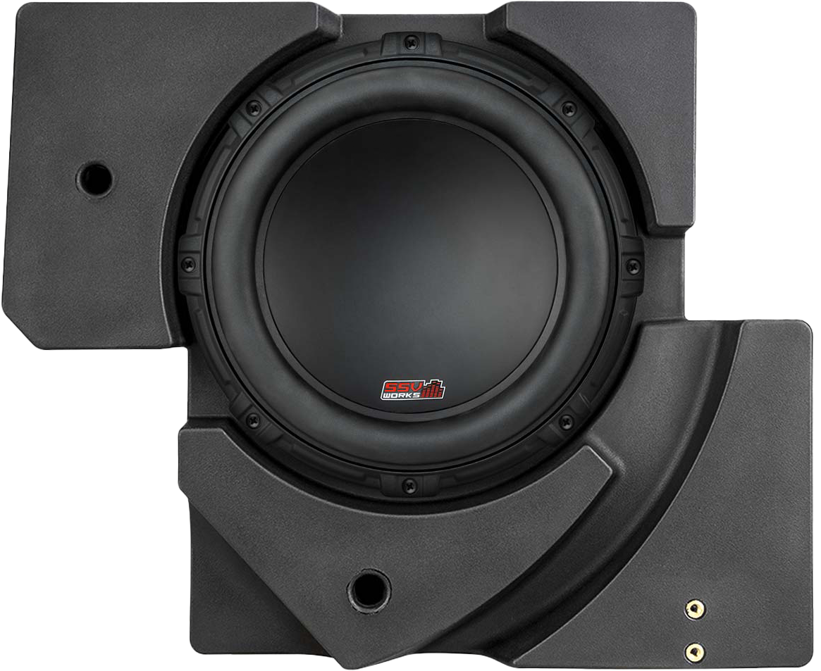 Ssv 10" Subwoofer And Box