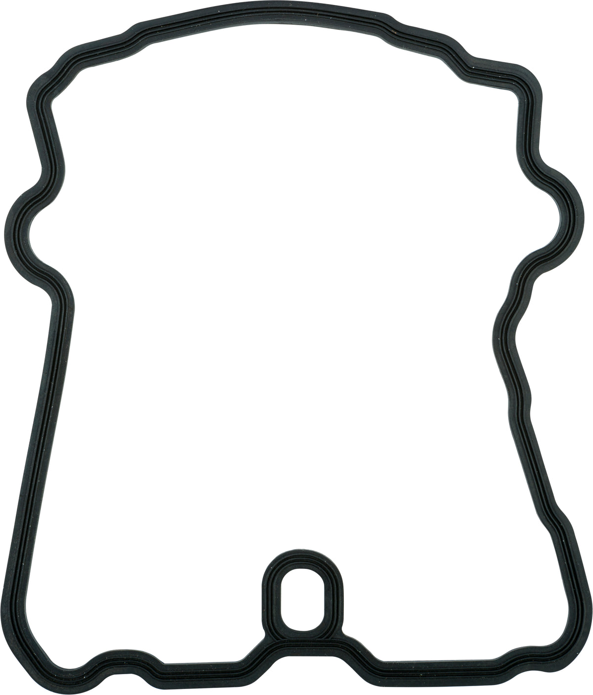 Valve Cover Gasket