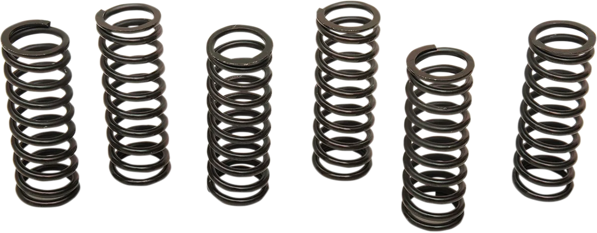 Clutch Spring Kit