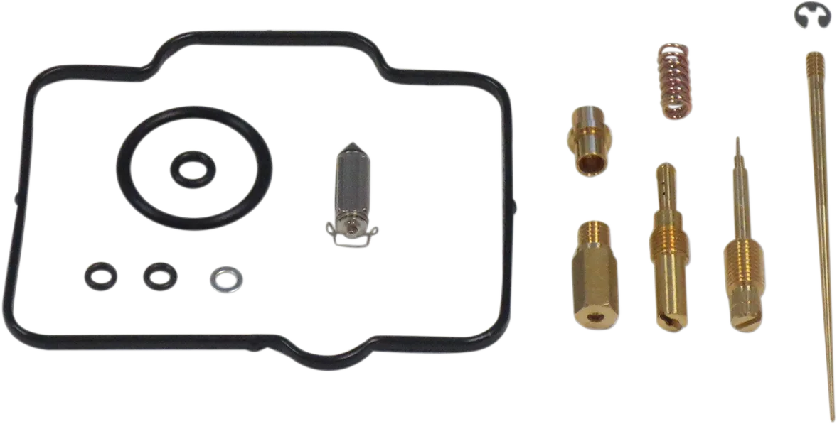 Carburetor Repair Kit