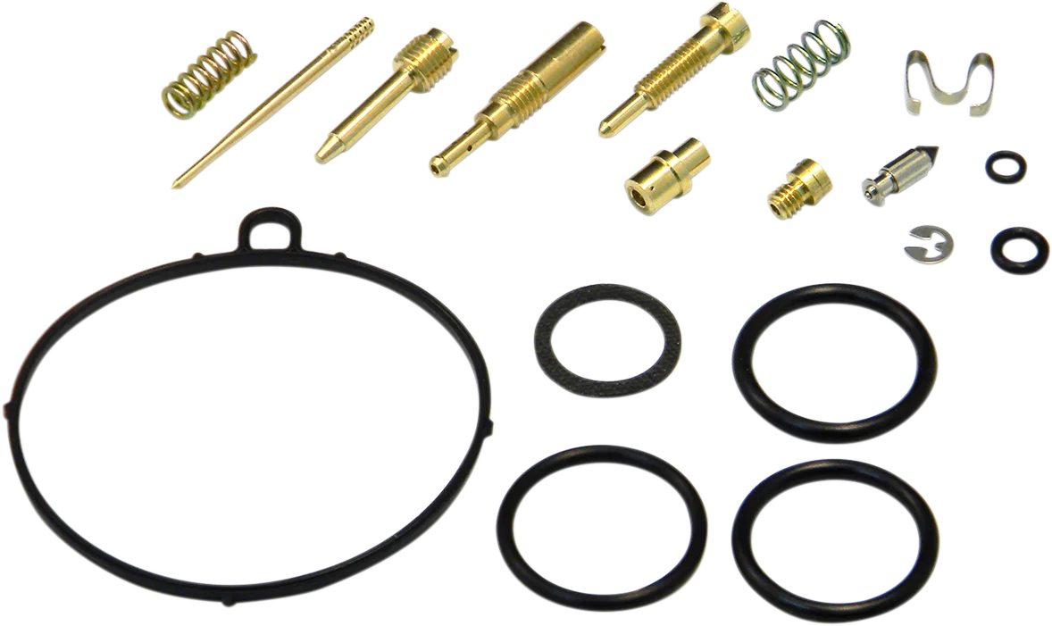 Carburetor Repair Kit