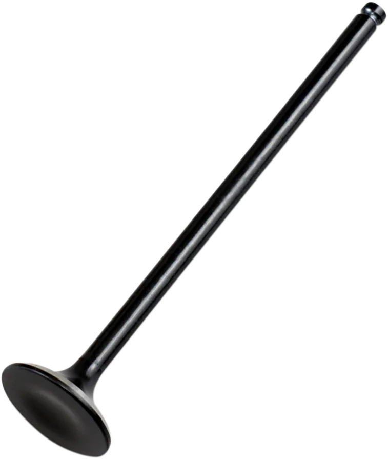 Replacement Valve